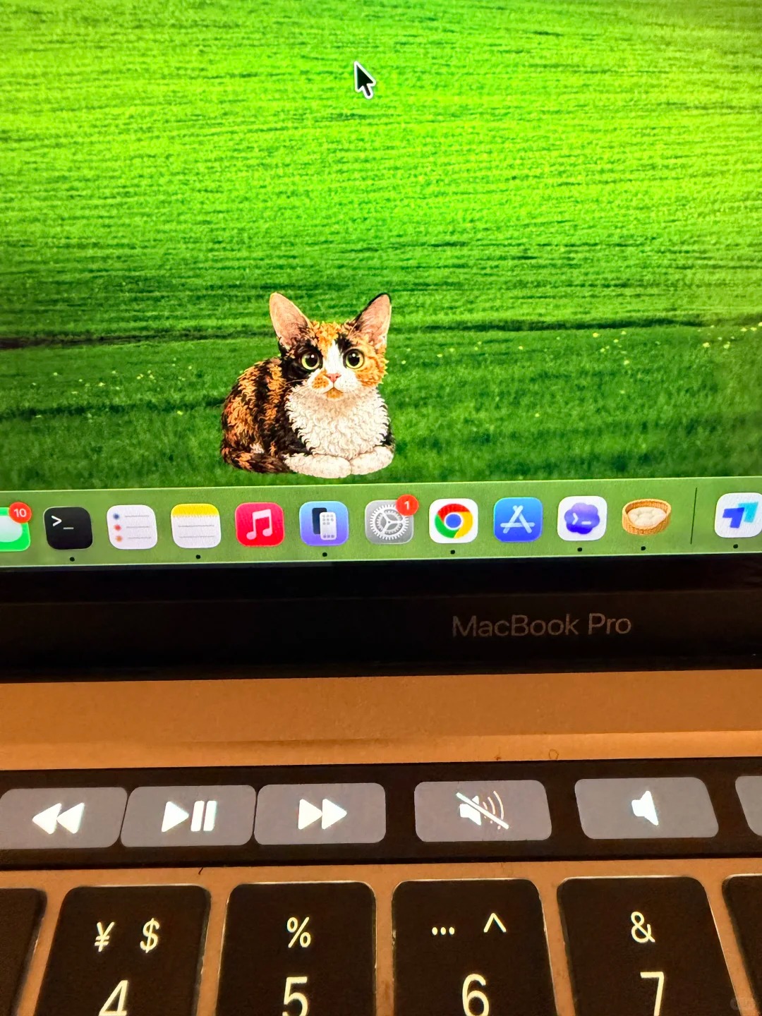 Import petname.deskpet